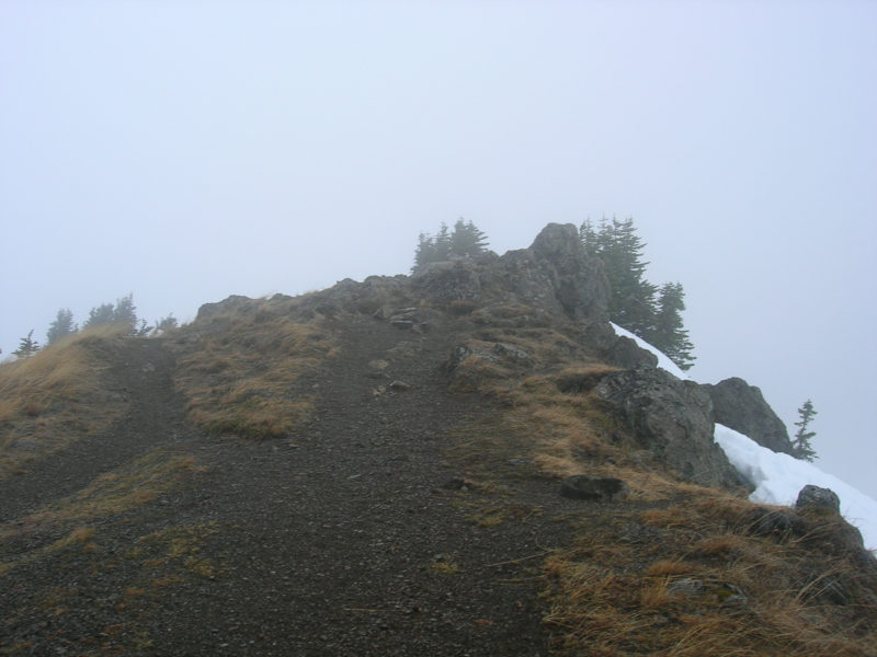20051124 Hurricane Ridge, ONP