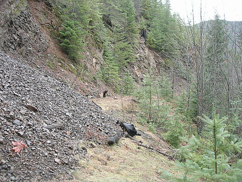 20100116 Lebar Creek Trail, ONF
