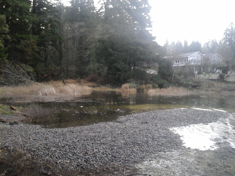 20150124 King Tide at Priest Point Park, Olympia WA