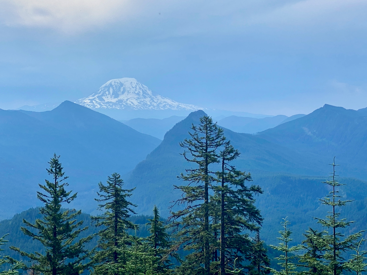 20240717 Exploring Lone Tree Mountain, GPNF