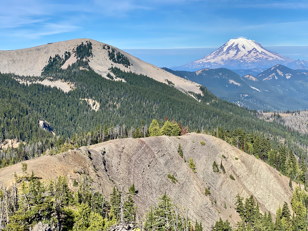 20240826 Burnt Mountain, MBSNF