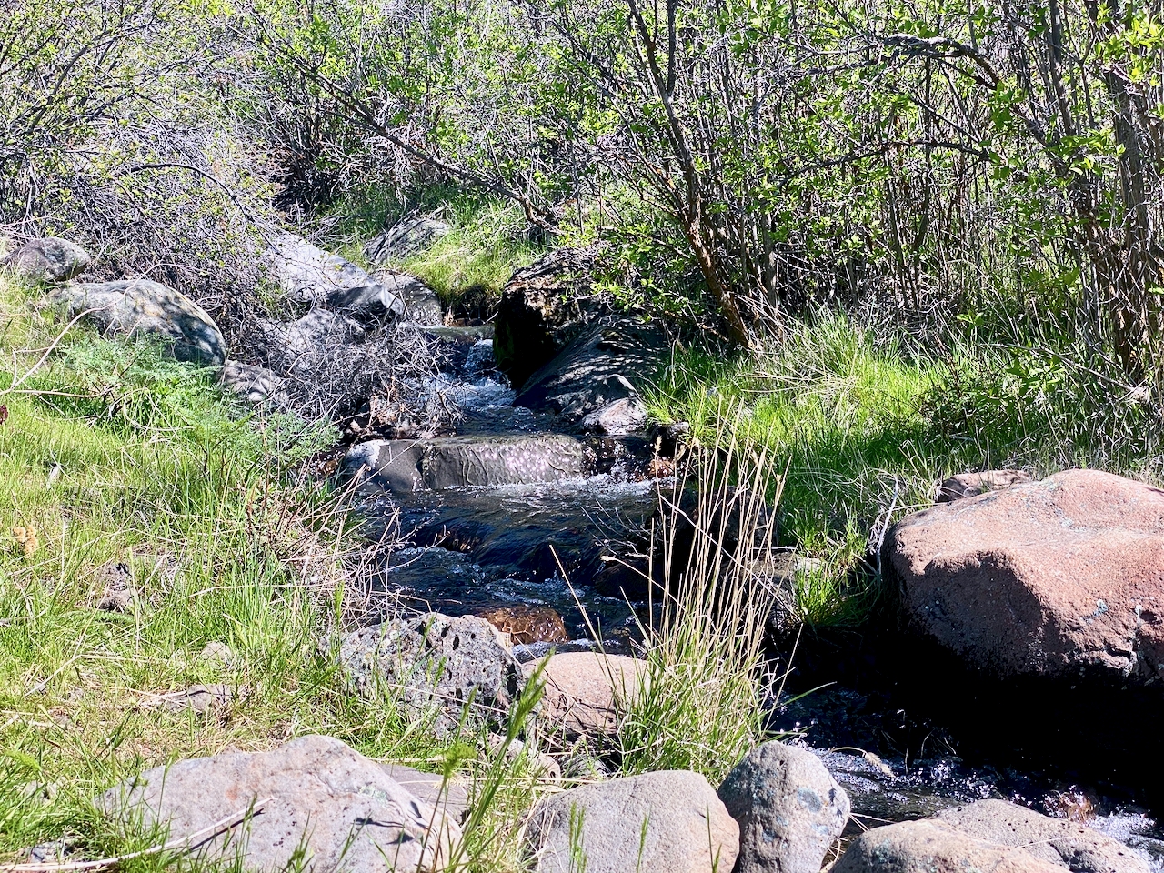 20250414 Waterworks Canyon Loop